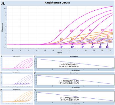 Construction of a one-step multiplex real-time PCR assay for the detection of serogroups A, B, and E of Pasteurella multocida associated with bovine pasteurellosis